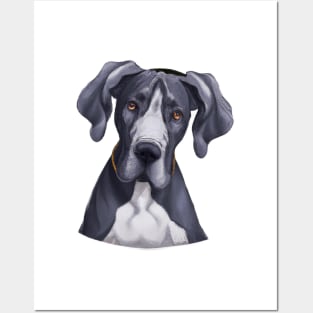 Cute Great Dane Drawing Posters and Art